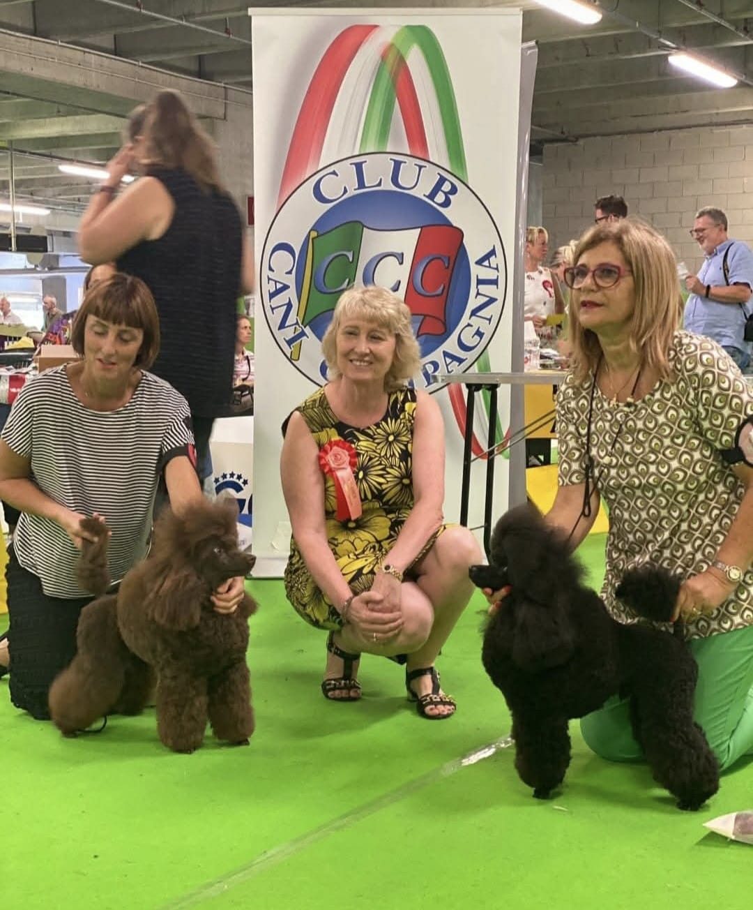 I nostri barboncini premiati in esposizione